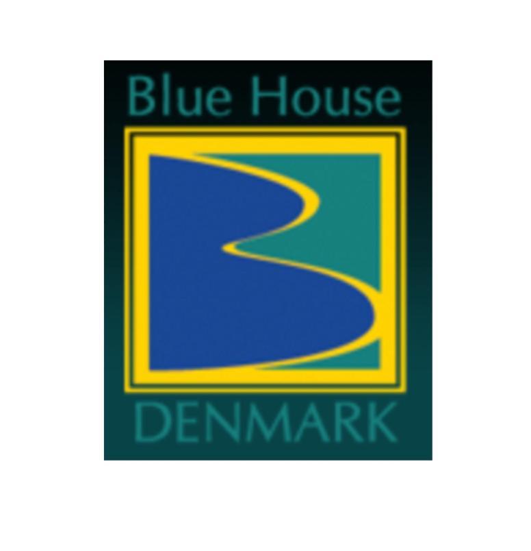 Blue House Denmark Βίλα Εξωτερικό φωτογραφία